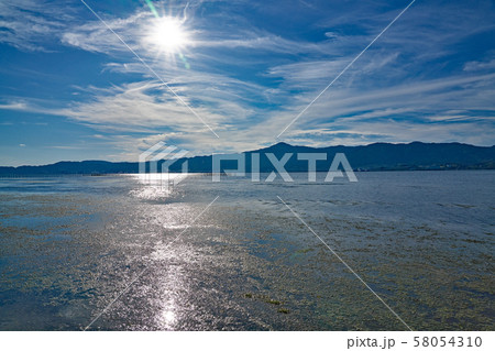 【琵琶湖の湖畔から】 滋賀県草津市下物町 58054310