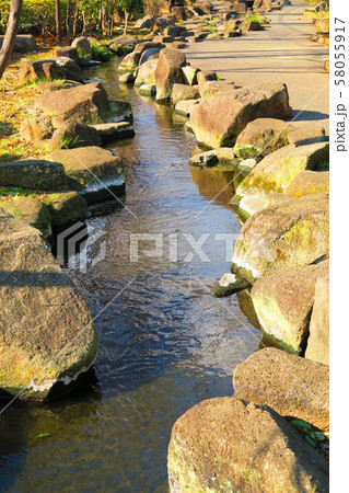 見沼代親水公園の風景 見沼代親水公園の風景 58055917
