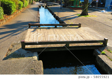 見沼代親水公園の風景 58055921