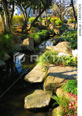 見沼代親水公園の風景 見沼代親水公園の風景 58055926