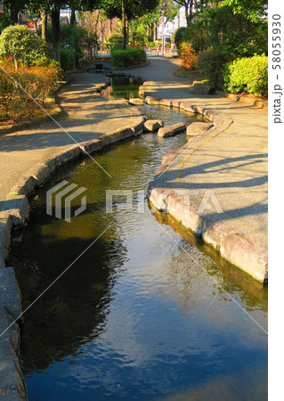 見沼代親水公園の風景 58055930