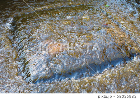見沼代親水公園の風景 見沼代親水公園の風景 58055935