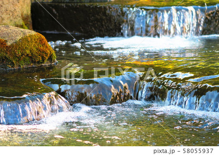 見沼代親水公園の風景 見沼代親水公園の風景 58055937