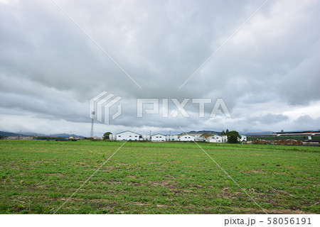 永利牧場 58056191