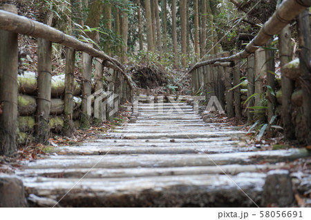 階段道 58056691
