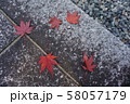 石畳とモミジ 58057179