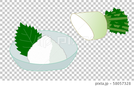 カットした大根と大根おろしのイラストセットのイラスト素材