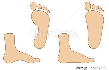 健康な足と偏平足の足のイラストセットのイラスト素材