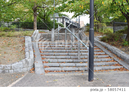 秋の通学路 58057411