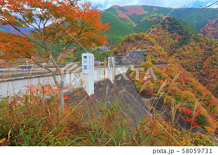【東京都】小河内ダムの紅葉（奥多摩） 58059731
