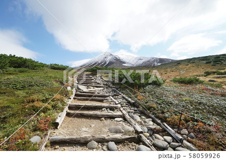 大雪山旭岳　旭平散策路風景（裾合平方面縦走路） 58059926