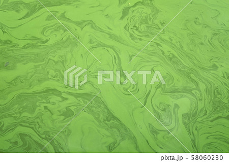 緑のマーブル 58060230