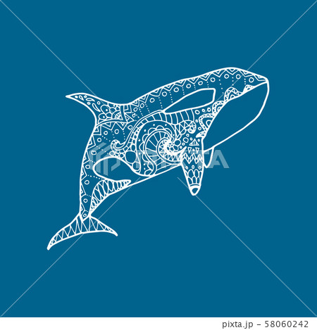 Vector illustration of white patterned orca 58060242