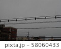 天気が悪い日の空といえと電線 58060433