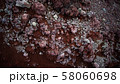 赤石と砂 58060698