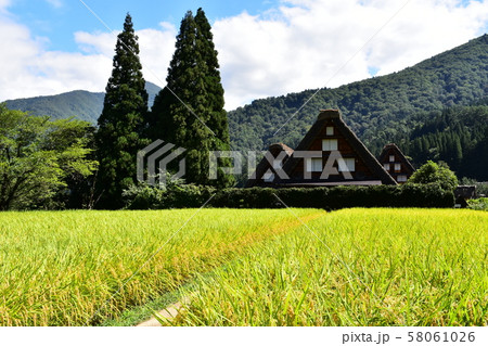 世界遺産,合掌造りと田園 58061026