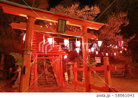 稲荷神社/千本鳥居① 58061043