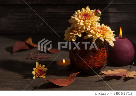 Yellow chrysanthemum in sun light 58061712