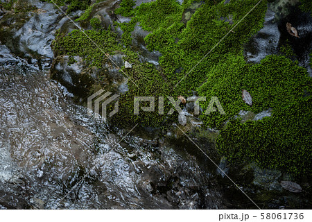 円原川の伏流水 円原川の伏流水 58061736