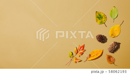 Autumn leaves from above Autumn leaves from above 58062193