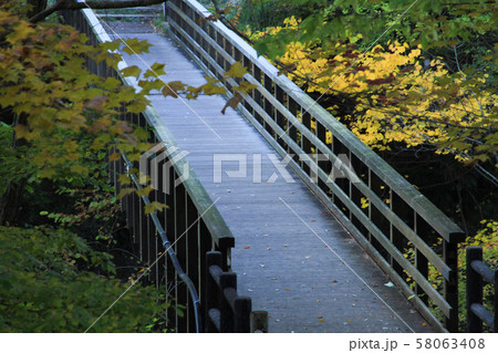 瀧見橋(吾妻渓谷) 瀧見橋(吾妻渓谷) 58063408