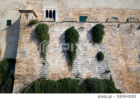 Stony wall of Cathedral La Seu 58064085
