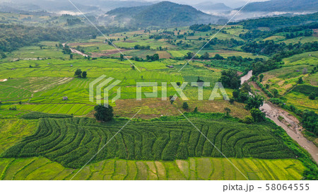 Green rice fields from above in Pai Green rice fields from above in Pai 58064555
