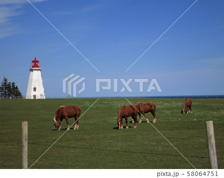 プリンスエドワード島 Prince Edward Island プリンスエドワード島 Prince Edward Island 58064751