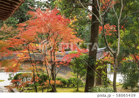 京都・秋・龍安寺・石庭 京都・秋・龍安寺・石庭 58065439
