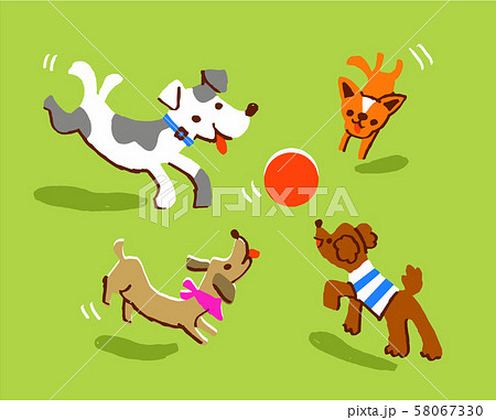 ボールで遊ぶ犬たちのイラスト素材