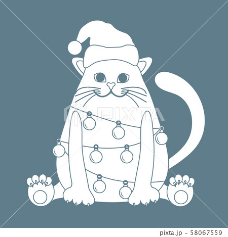 New Year, Merry Christmas Cat in a Christmas hat 58067559