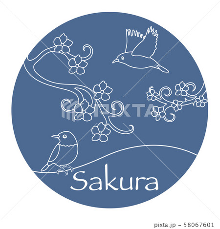 Sakura branches and japanese birds Japan nature. Sakura branches and japanese birds Japan nature. 58067601