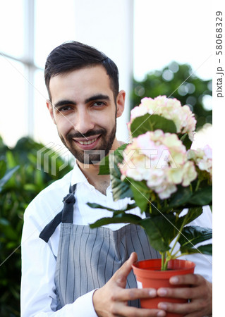 Smiling Man Florist with Flower Hydrangea Portrait Smiling Man Florist with Flower Hydrangea Portrait 58068329