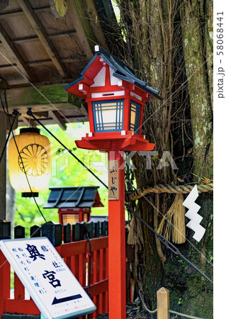 御神木/貴船神社/貴布禰總本宮/京都寺/パワースポット 58068441