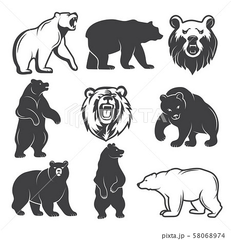 Monochrome Illustrations Of Stylized Bears のイラスト素材