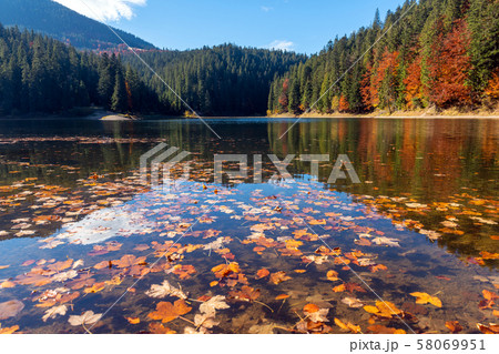 Perfect autumn tree reflections in lake Perfect autumn tree reflections in lake 58069951