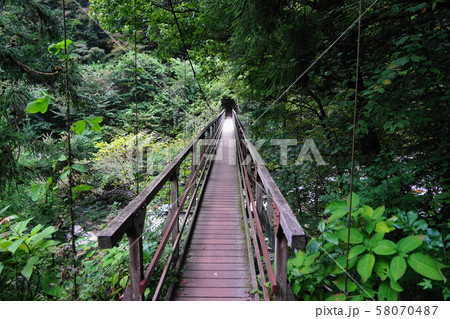 9月　北杜41吊り橋･尾白川渓谷・白州町 58070487