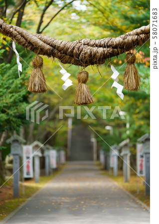 締縄 58071683