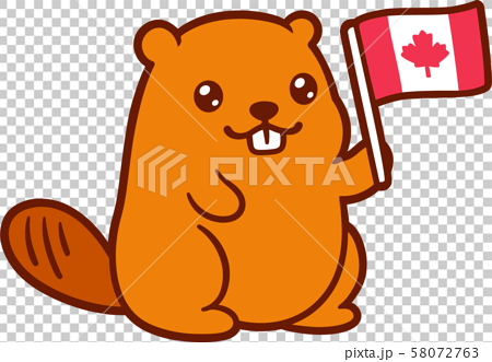 Cute Cartoon Beaver With Canada Flagのイラスト素材