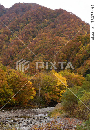 北海道八雲町の八熊峠で紅葉の風景を撮影 58073497