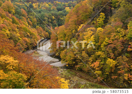 北海道八雲町の八熊峠で紅葉の風景を撮影 58073515