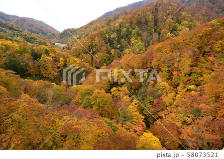 北海道八雲町の八熊峠で紅葉の風景を撮影 58073521