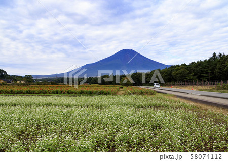花の都（秋） 58074112