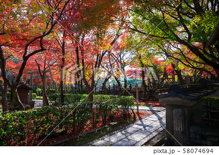 京都　化野念仏寺（あだしのねんぶつじ）の紅葉 58074694
