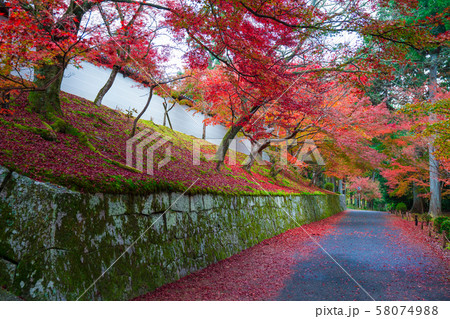 京都 曼殊院門跡の紅葉 京都 曼殊院門跡の紅葉 58074988