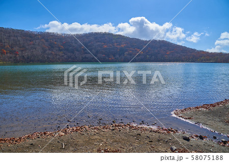 秋の群馬県赤城山の小沼北側湖畔から南東側(長七郎山方面)を見る 秋の群馬県赤城山の小沼北側湖畔から南東側(長七郎山方面)を見る 58075188