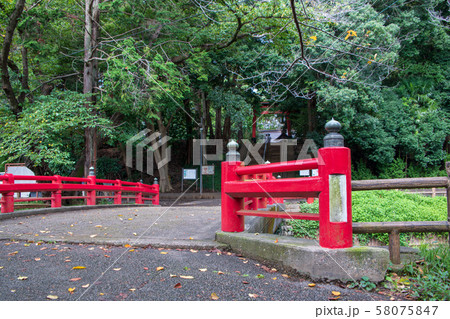 氷川女體橋　さいたま市緑区 58075847