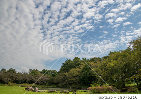 見沼氷川公園　　さいたま市緑区 58076216