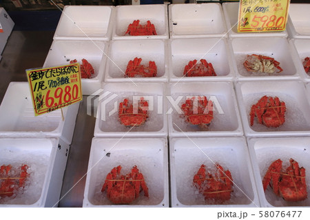 札幌市中央卸売市場　場外市場 58076477