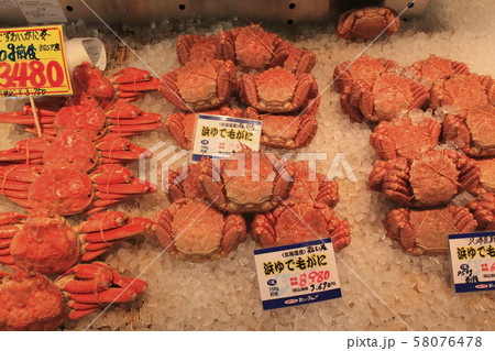 札幌市中央卸売市場 場外市場 札幌市中央卸売市場 場外市場 58076478